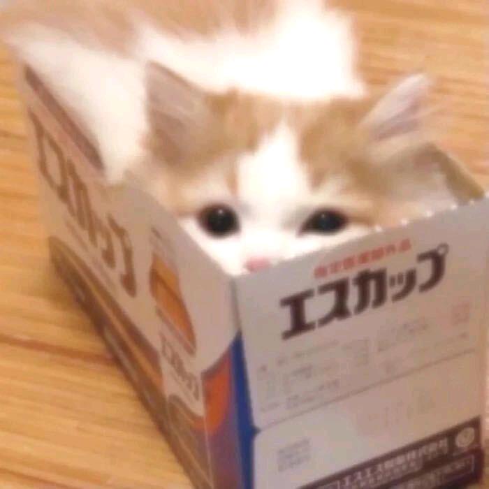 去你的学习