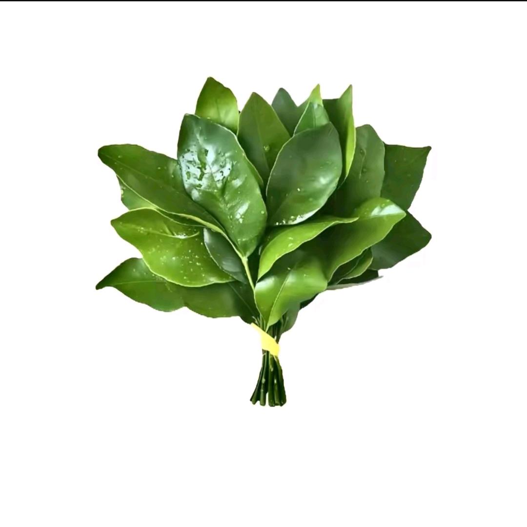 曹中有陈