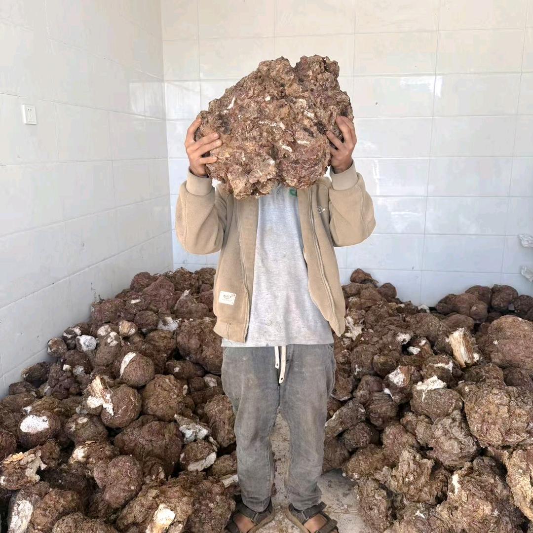 岚小鲜天然农品优选