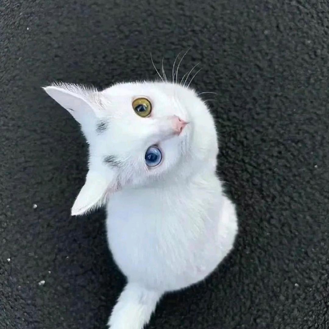与我站立一起