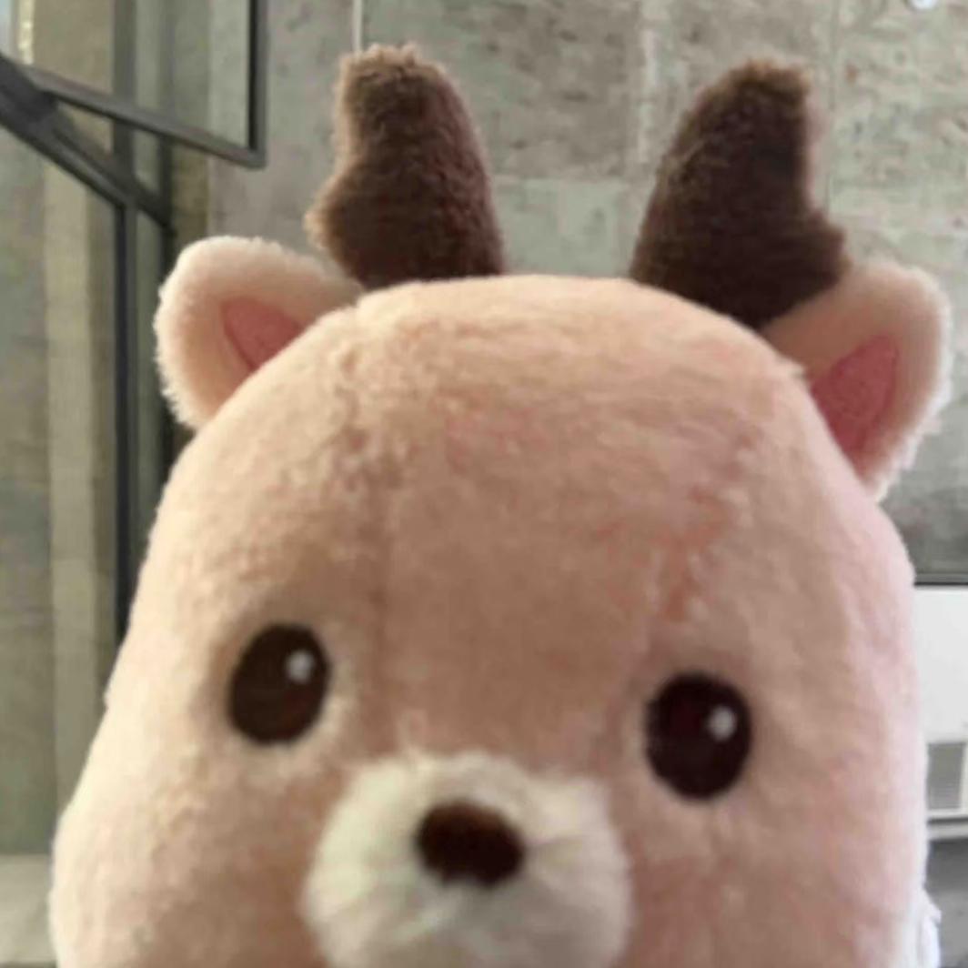 松松灿