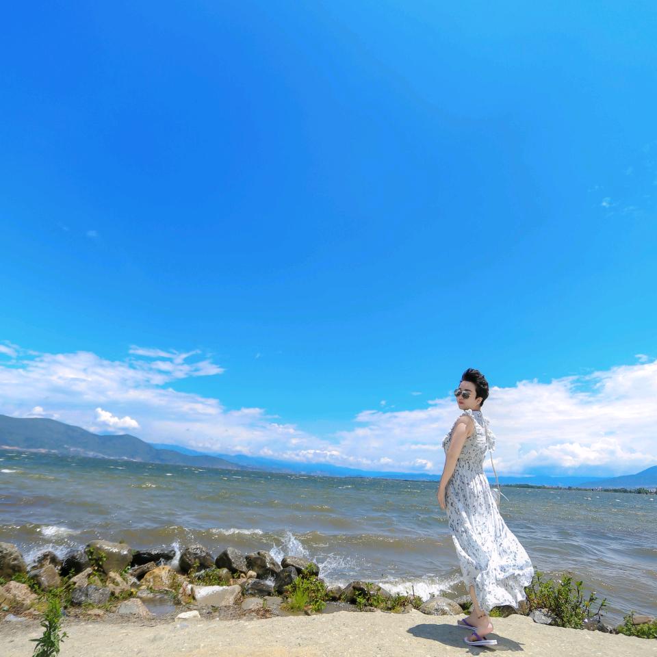 媛来是你，普洱七茶茶叶