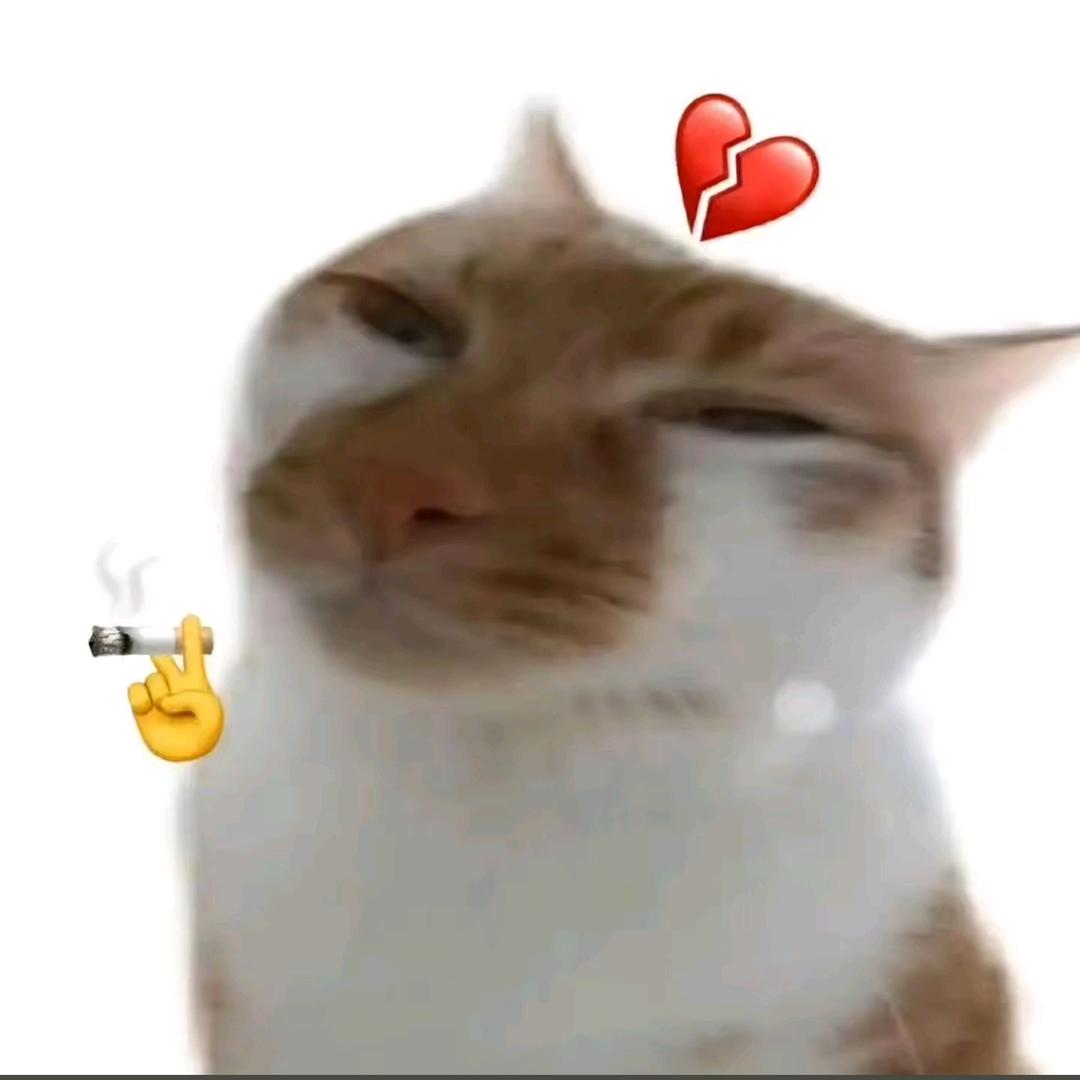 嘉锐