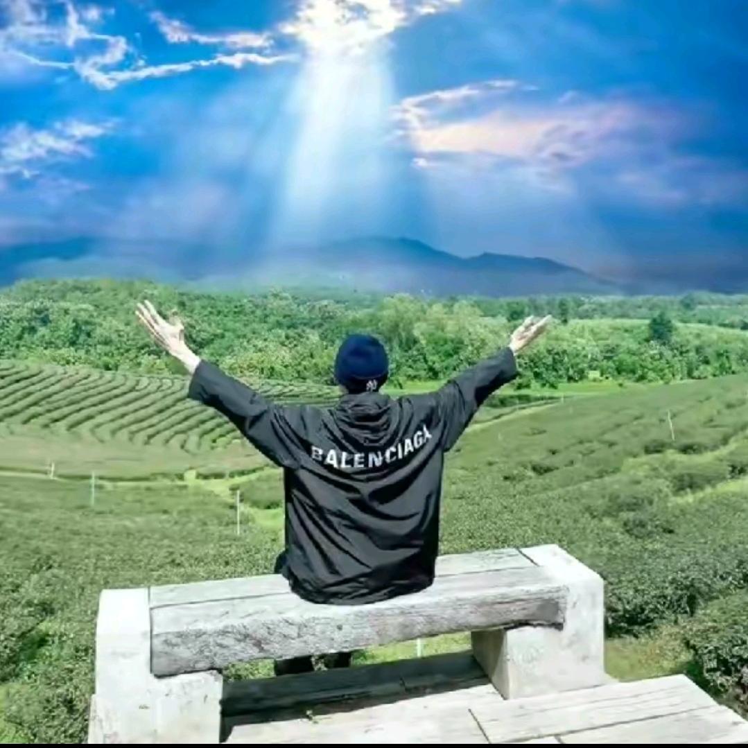 万般努力🌈