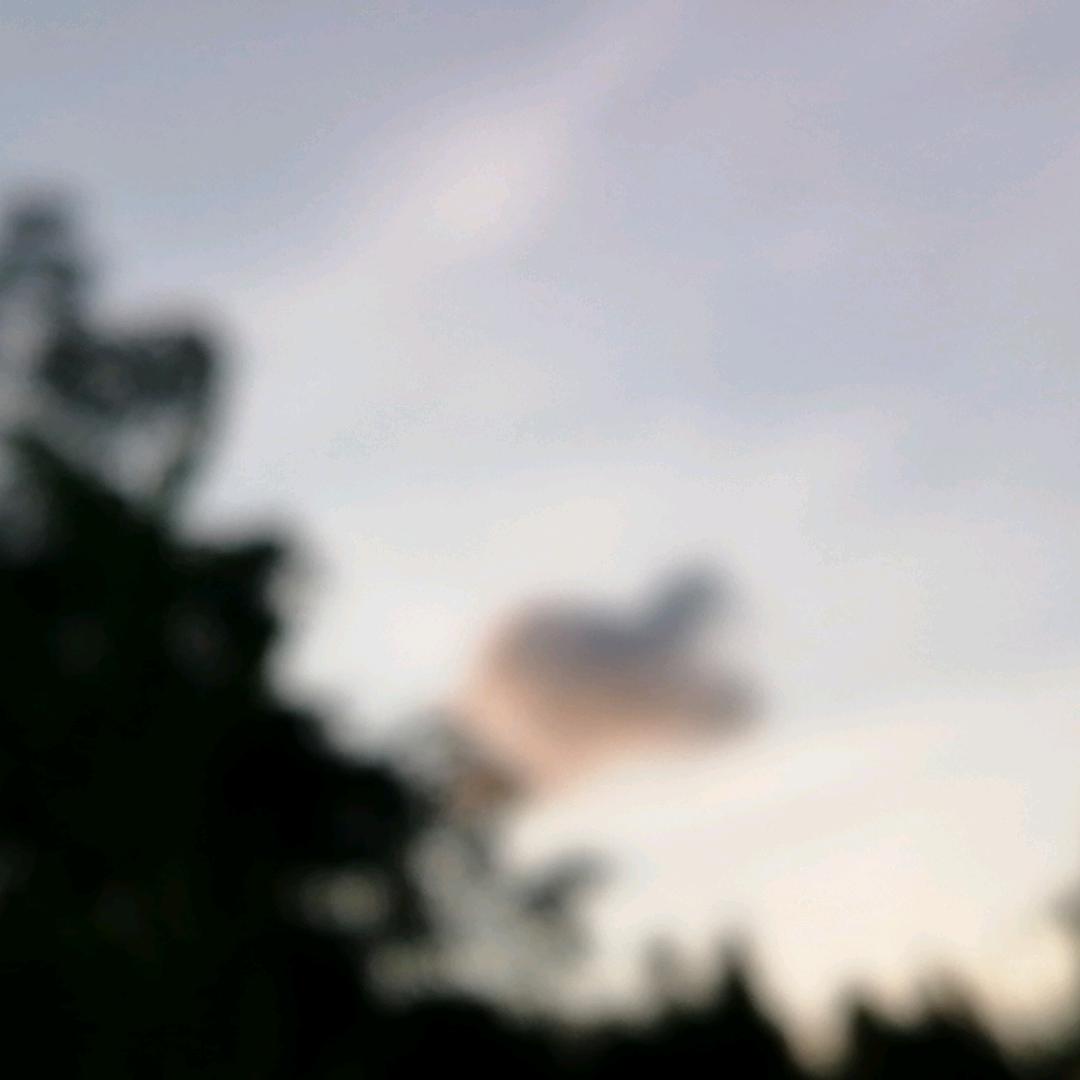 花好月圆🌸5218