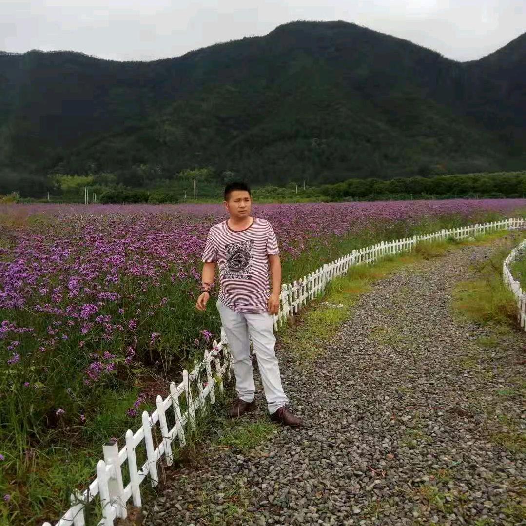 爱的世界只有你