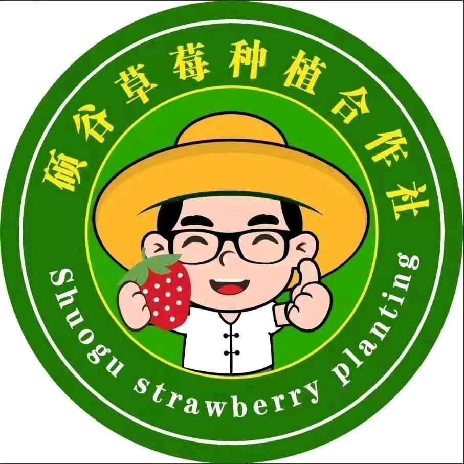 淮南硕谷草莓分拣中心