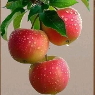 🍒