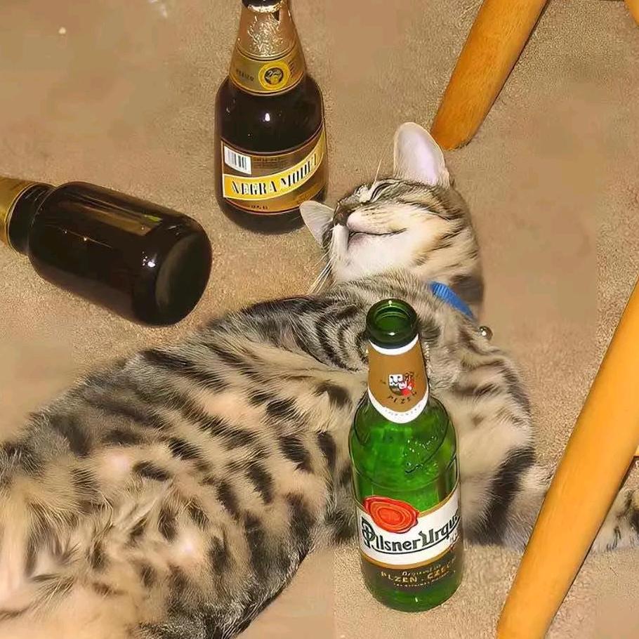 噜啦噜啦嘞