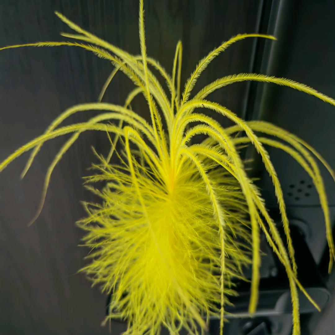 春去秋来