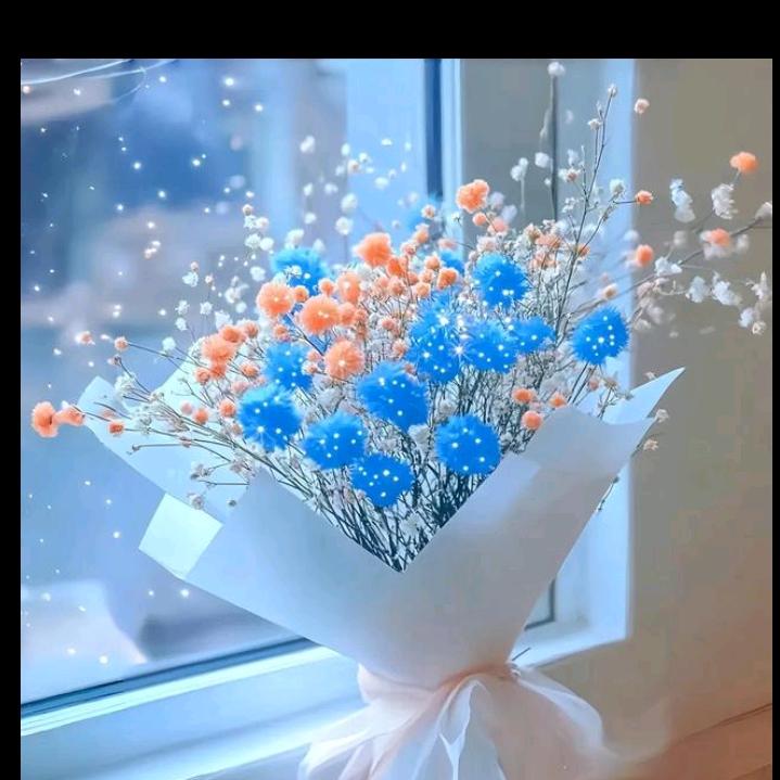 🌟幸运小福星🌟
