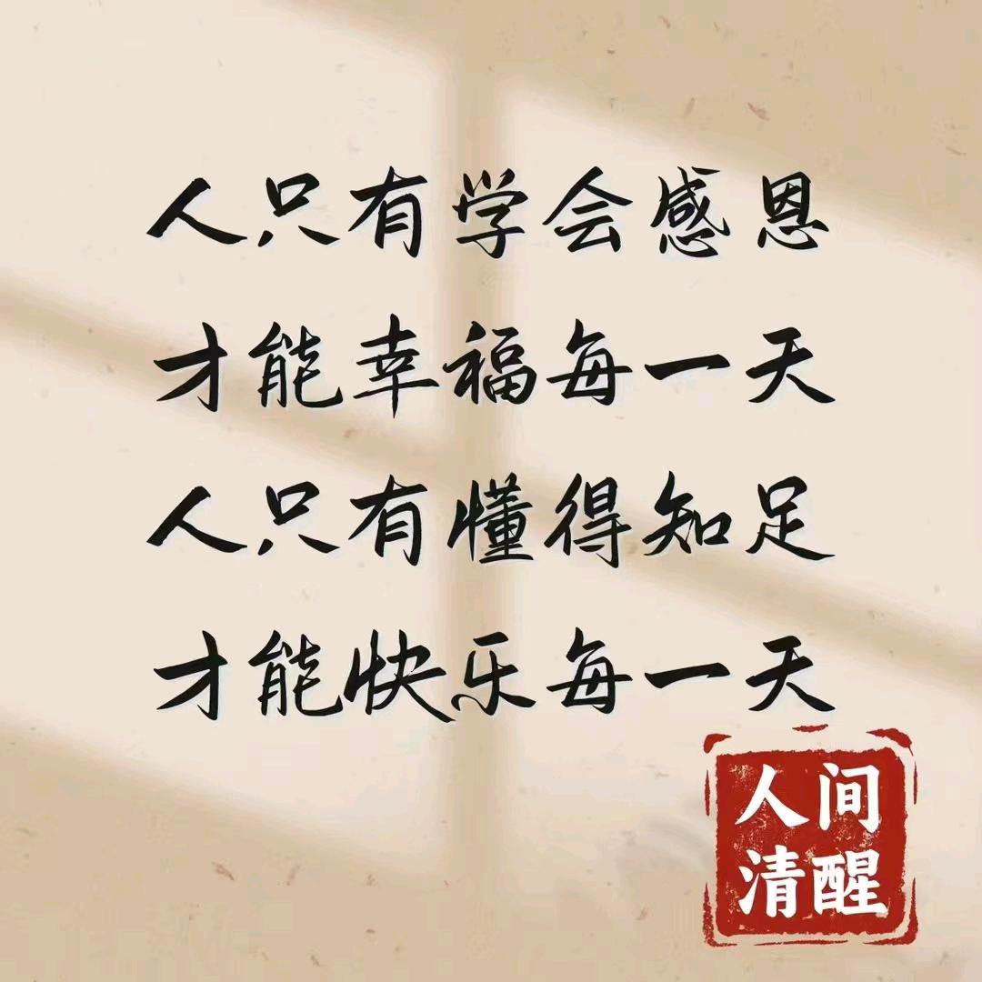 华HS胜