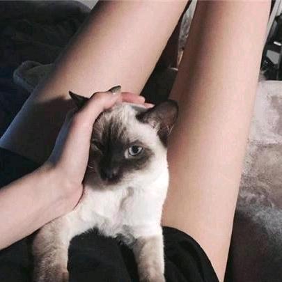 氿焥💞