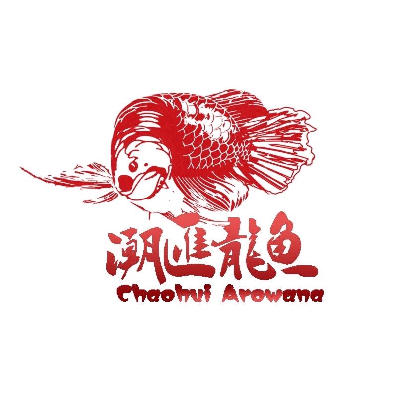 潮汇立达龙鱼®CHarowana