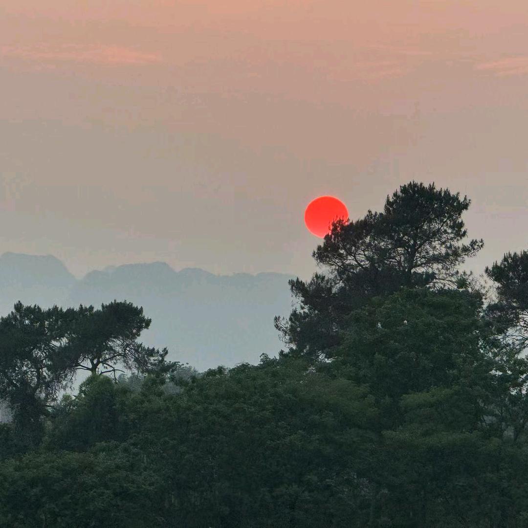 番茄鸡蛋拌面📷