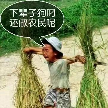 户外高子
