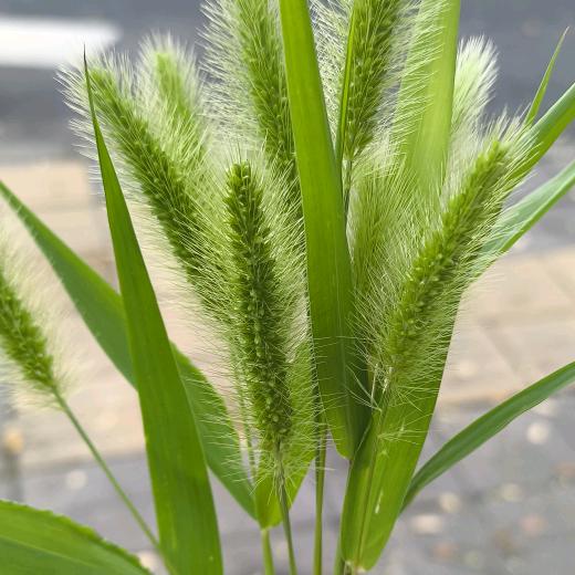 缘分，