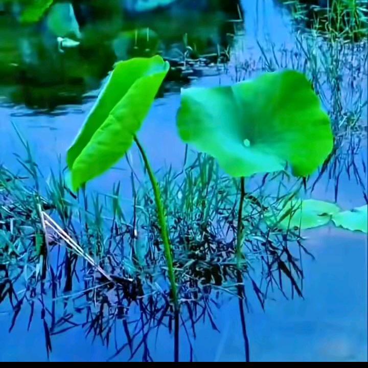 远航编织