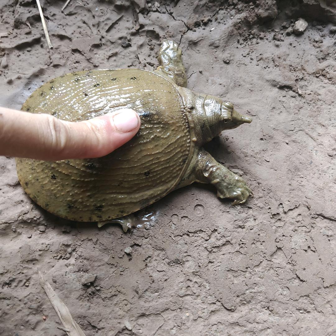 田钓鱼👍🎣🎣🎣🎣🎣🎣🎣