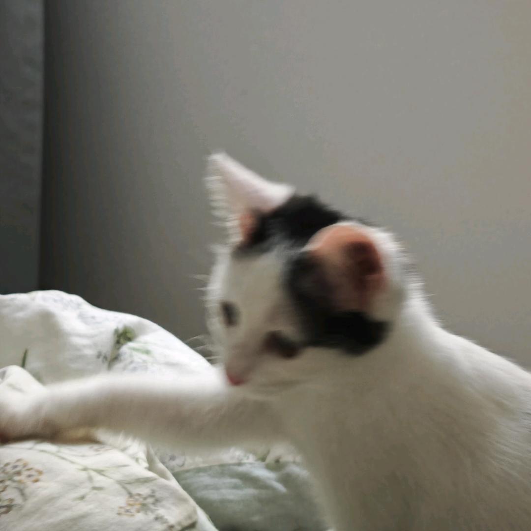 小五.
