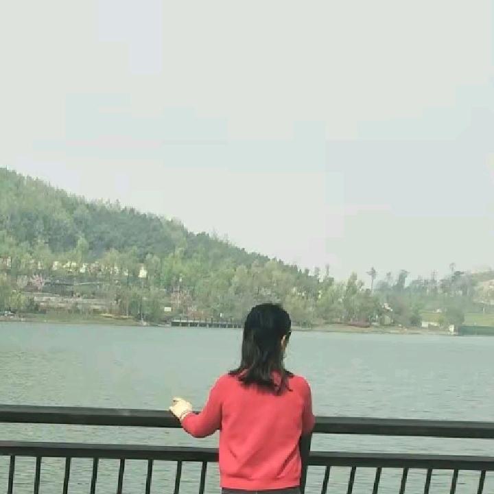 莲子