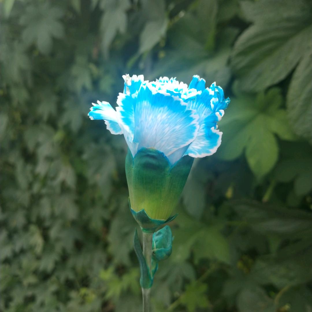 永葆青春