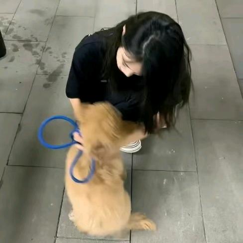 爱乐宝