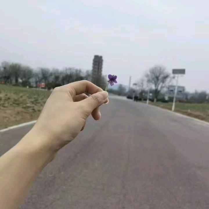 往后余生@