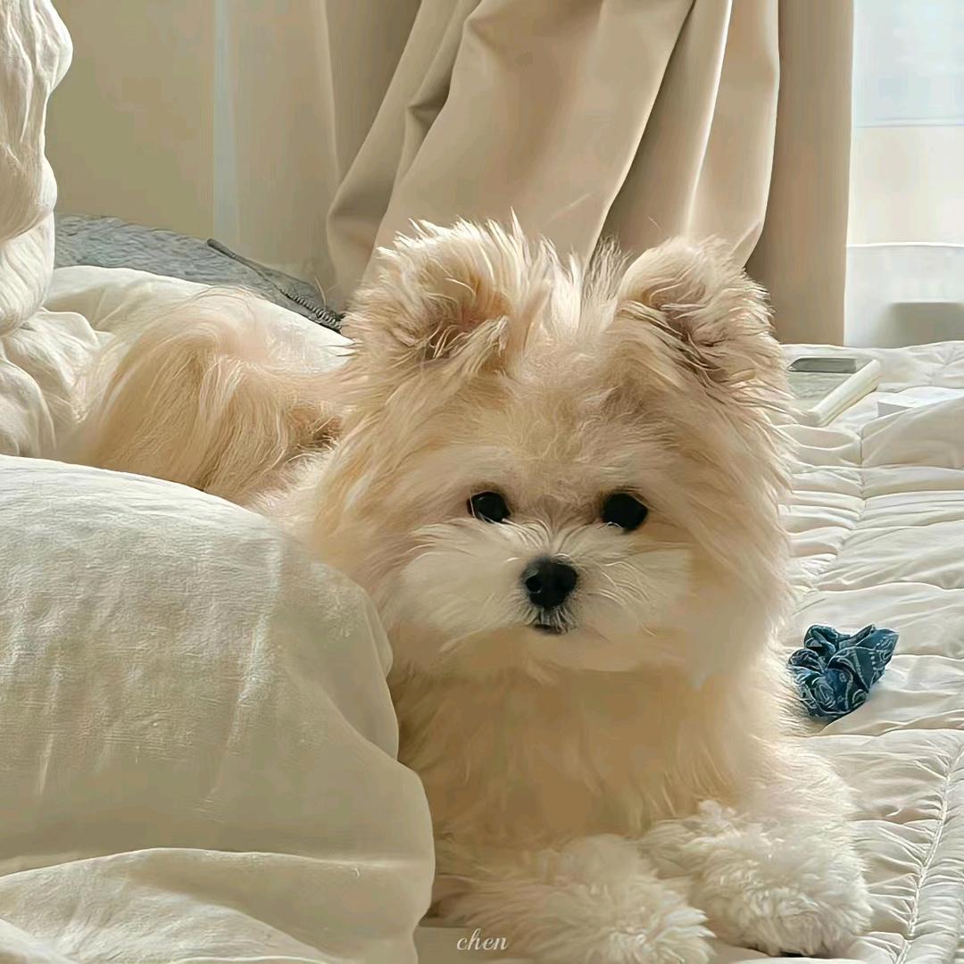 漾漾
