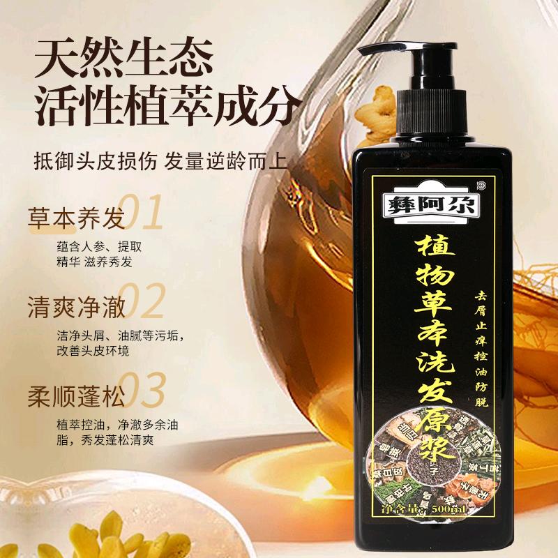 彝族杨氏草本