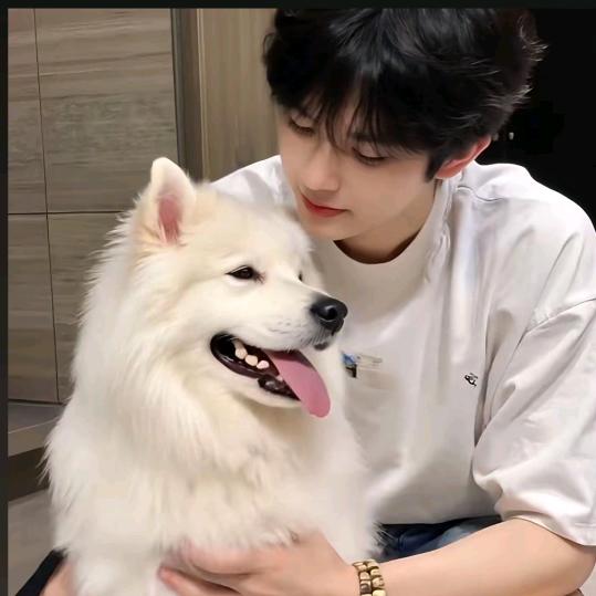 萧宇鹤（破1000粉正在努力中）