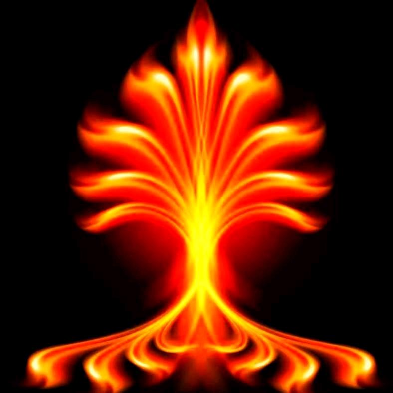 爱和城初中部孟老师