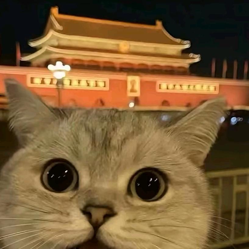 月月