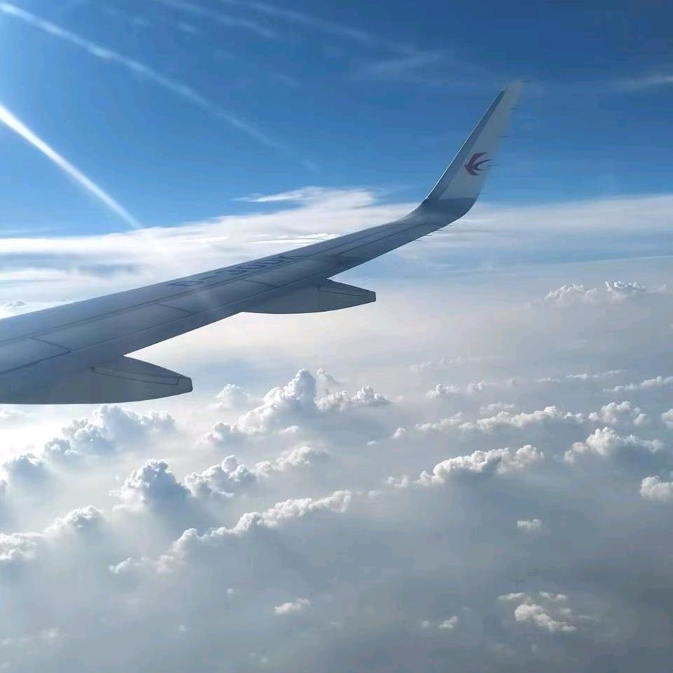 🎄🎉清晨🌞💖陽光✨