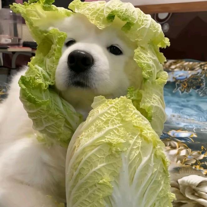 爱玩餐具推荐