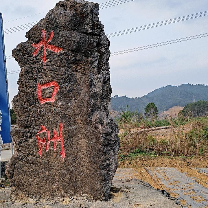 凤儿
