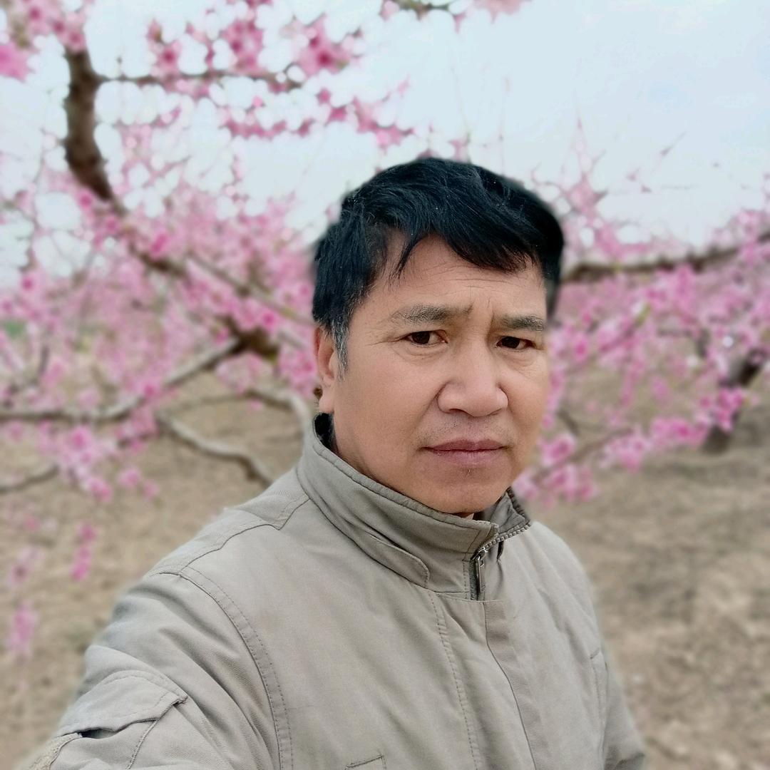 孤独哥