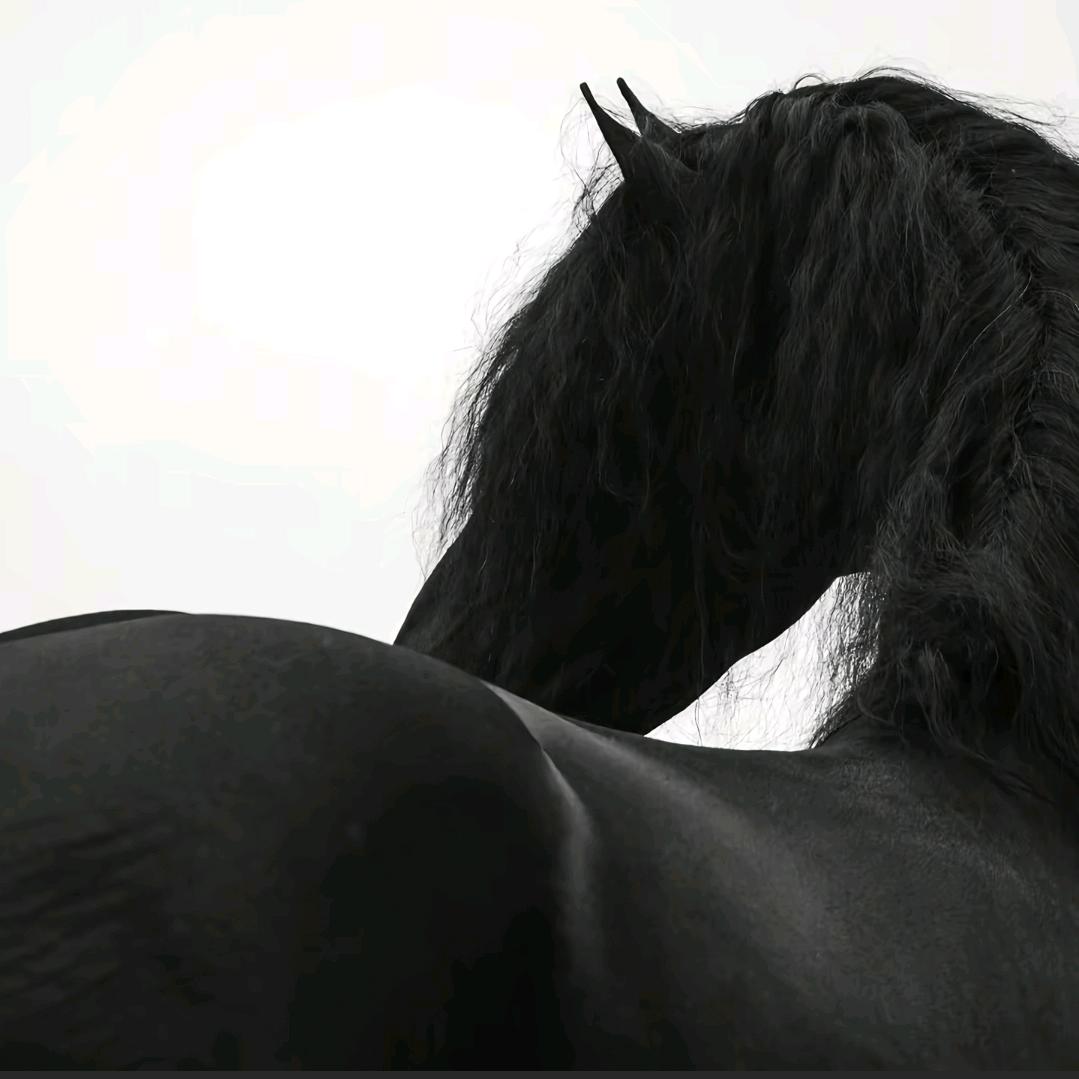 小浩