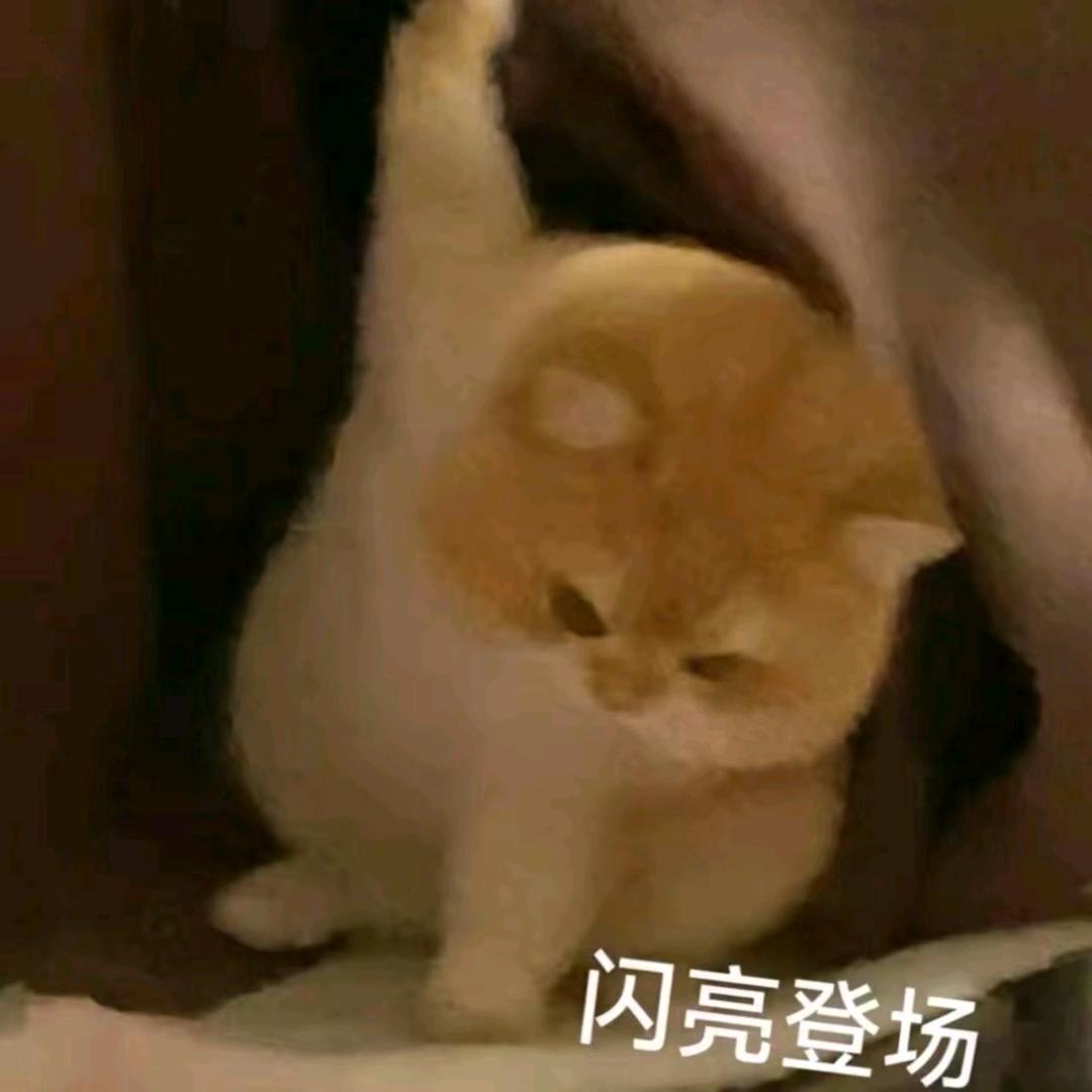 予我一次心