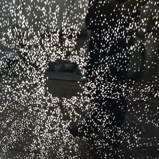 大 陈