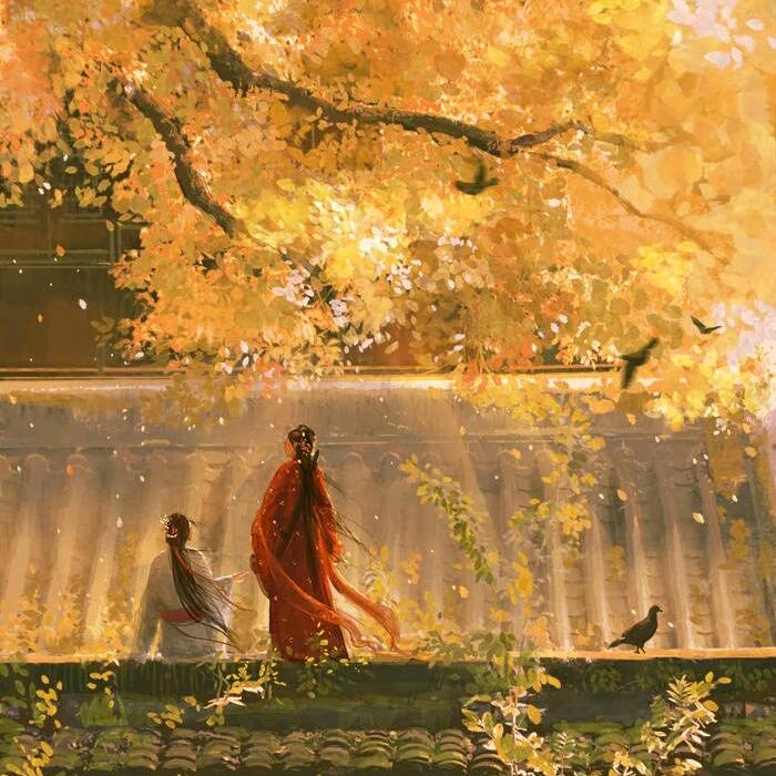 年年花开不逢春