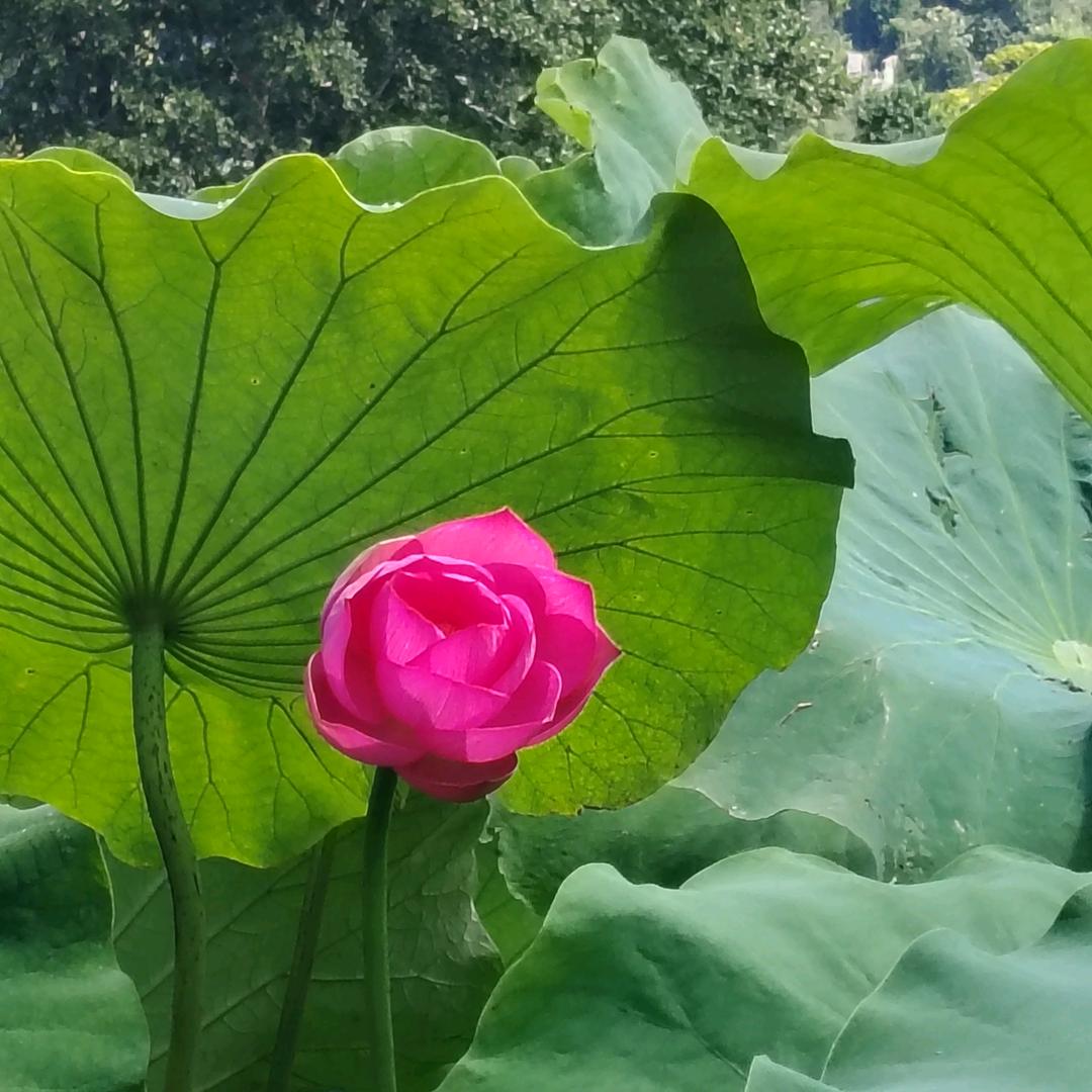 我爱我家