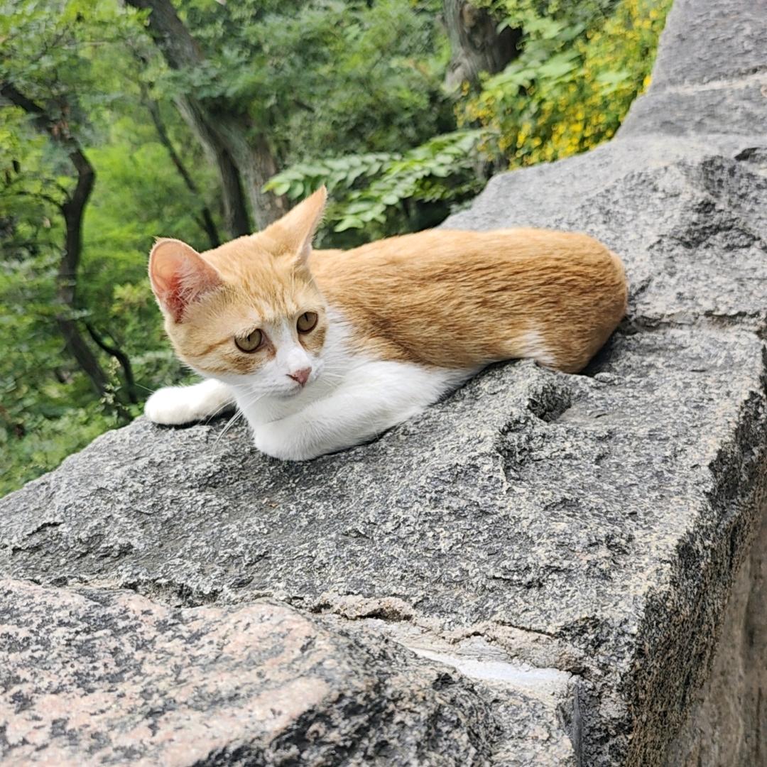 小晴天