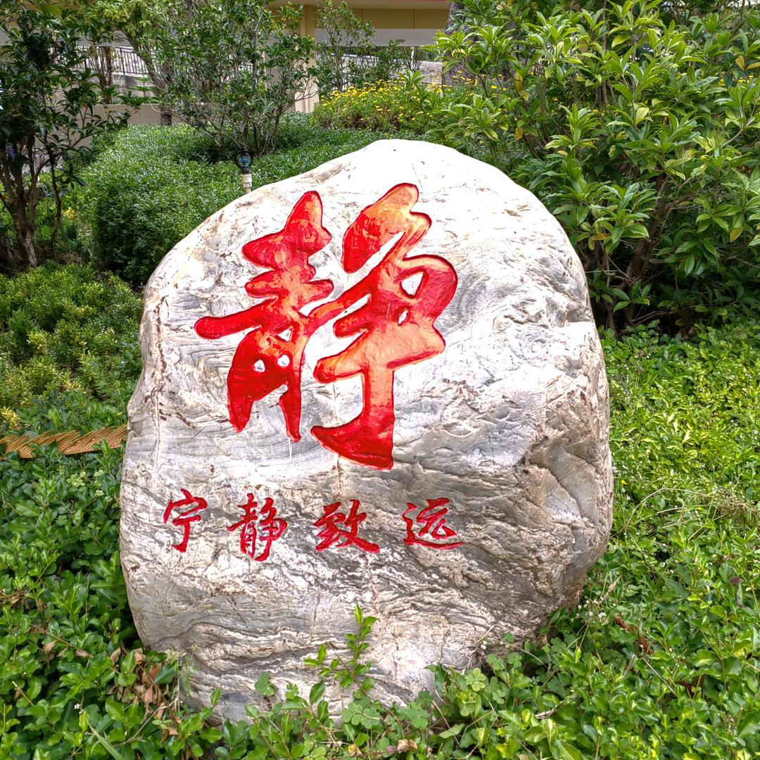 金龙