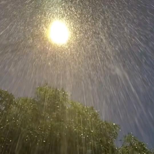 雨后重生