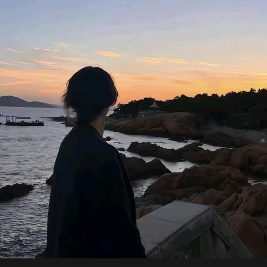 不爱番茄爱柿子