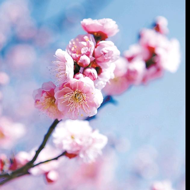 行程万里