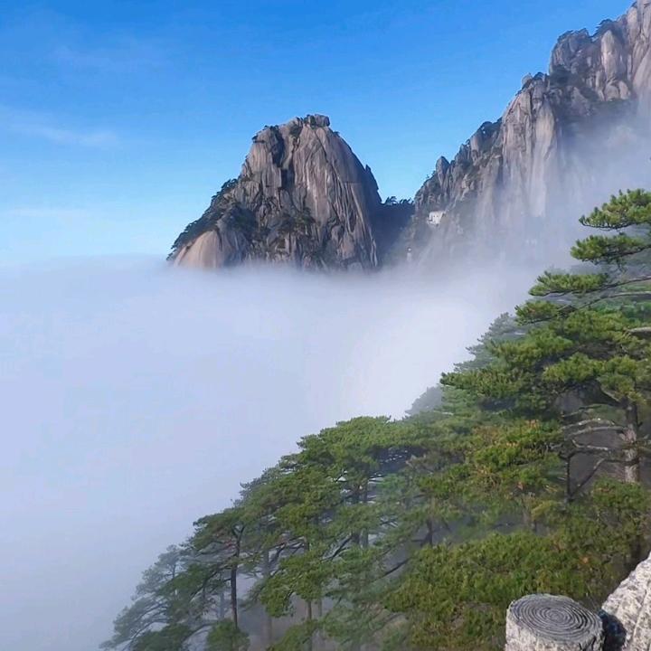 心志
