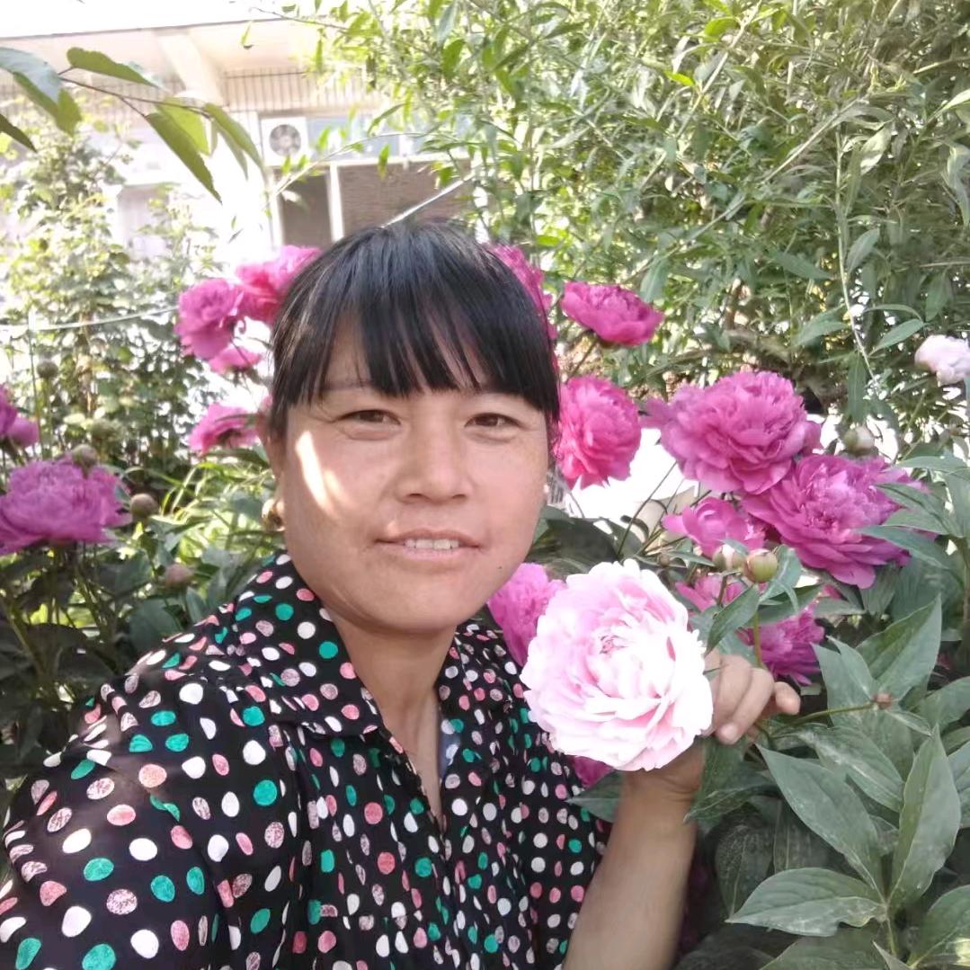 🌺ℋღ᭄雨福🍒᭄💞࿐