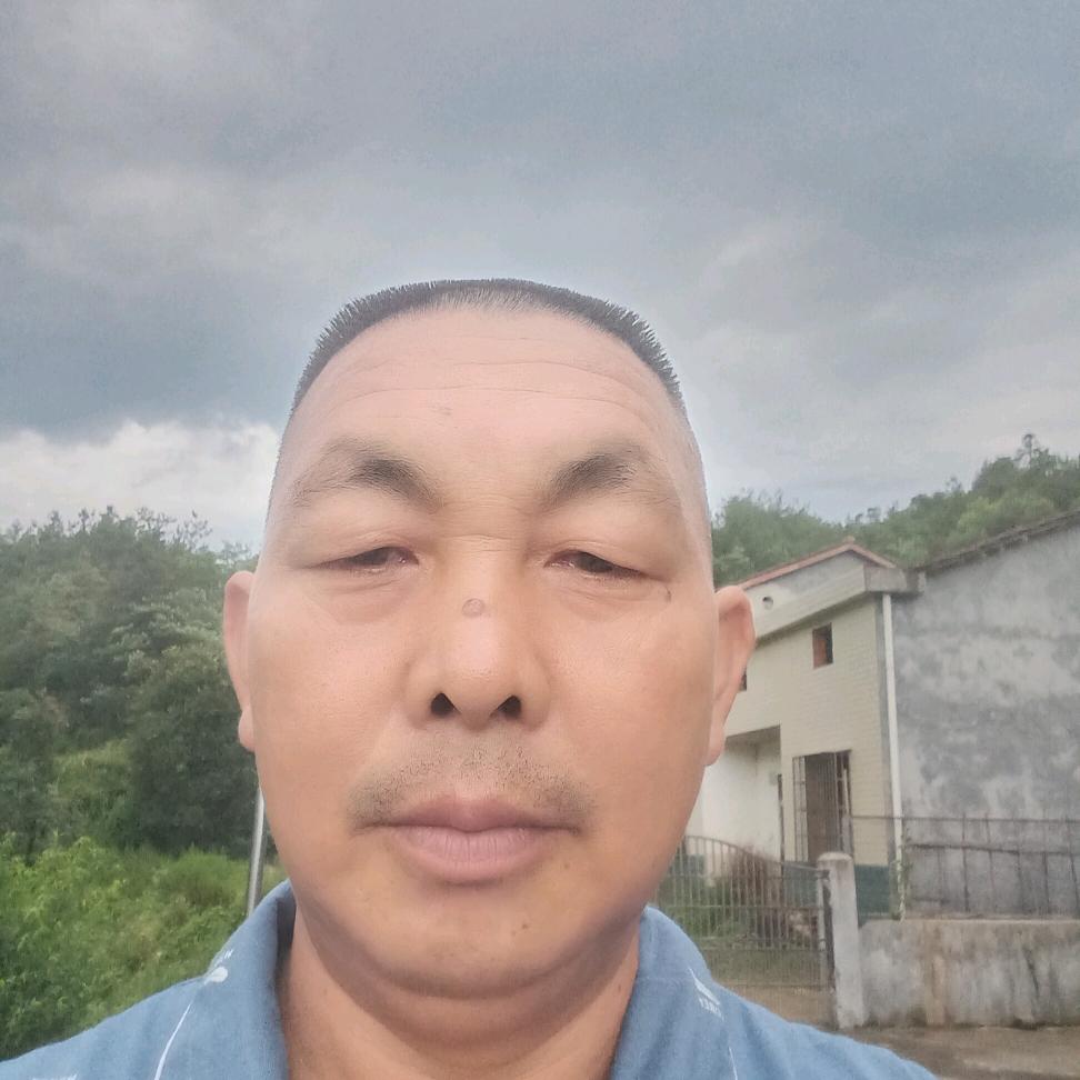 四季平安